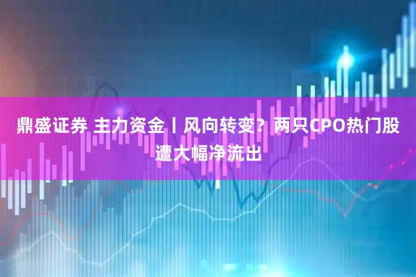 鼎盛证券 主力资金丨风向转变？两只CPO热门股遭大幅净流出
