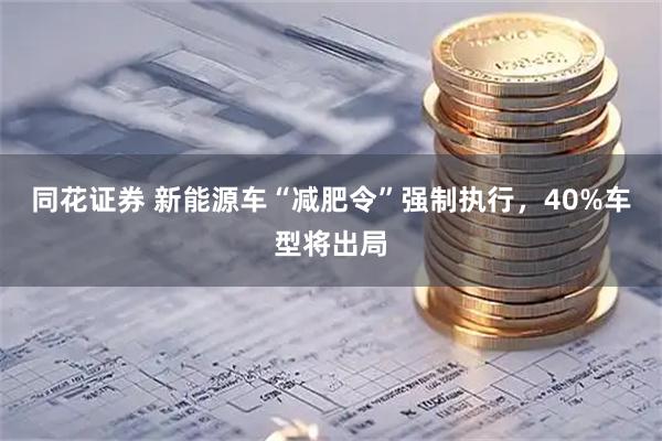 同花证券 新能源车“减肥令”强制执行，40%车型将出局